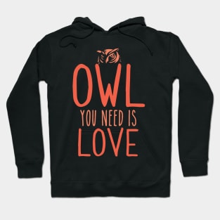 Owl You Need Is Love Hoodie